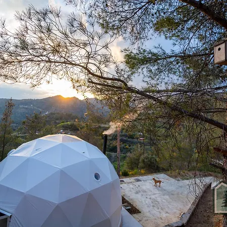 Dome In Nature Larnaca Exterior photo