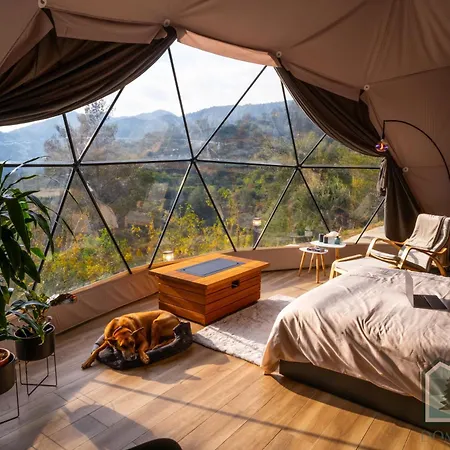 Dome In Nature Larnaca Exterior photo