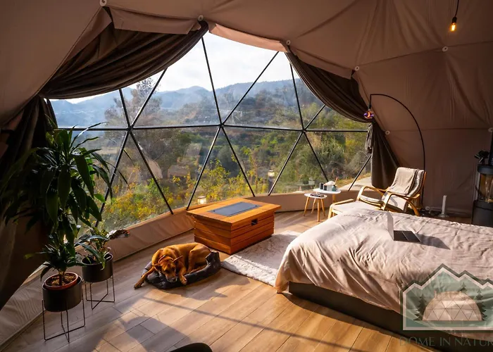Dome In Nature